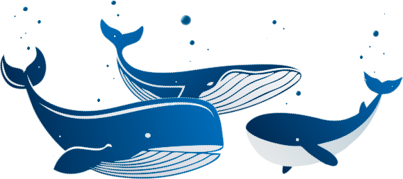 Три кита частного веб разработчика